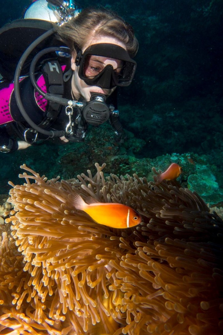 Chilling with Nemo in Fiji