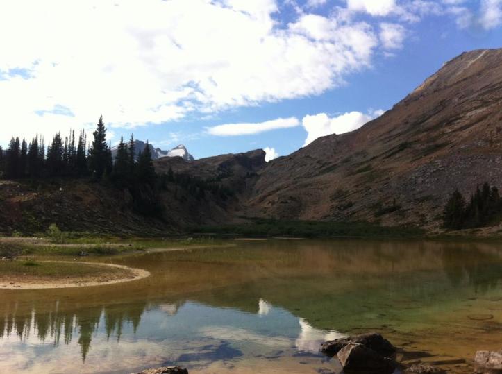 41890377_10156828178303578_348380946455592960_n_10156828178298578