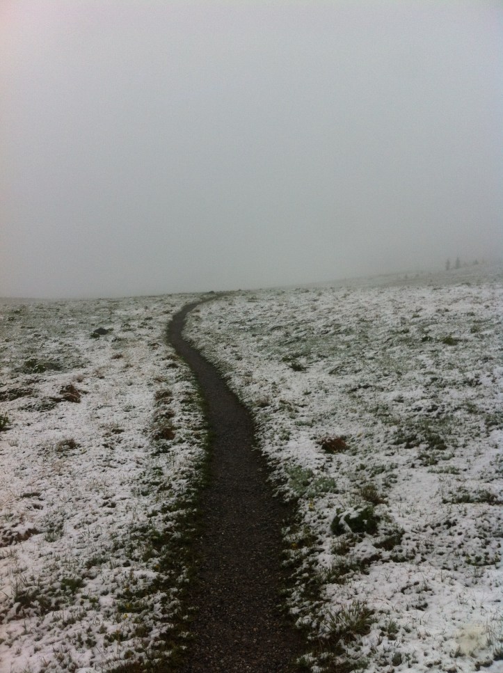 Courtz Iphone pics 123