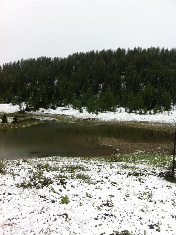 Courtz Iphone pics 140