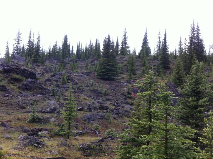 Courtz Iphone pics 142