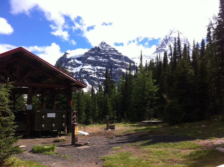 Courtz Iphone pics 201